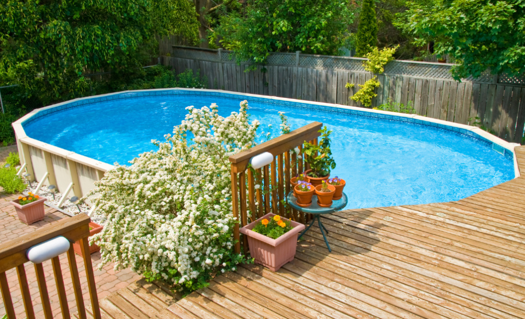 Plantes en bords en piscine / Leaderplant